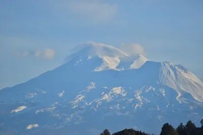 DSC_6005 (Large).JPG